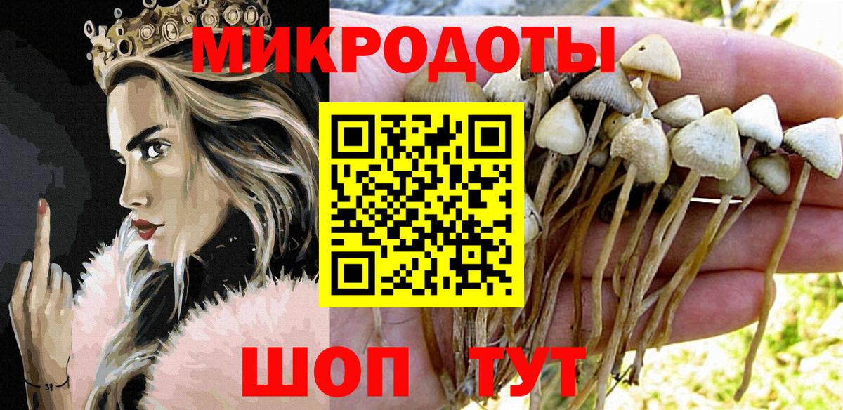 Псилоцибиновые грибы Psilocybe Карталы